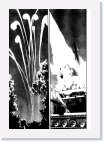 11 * 759 x 1100 * (424KB)